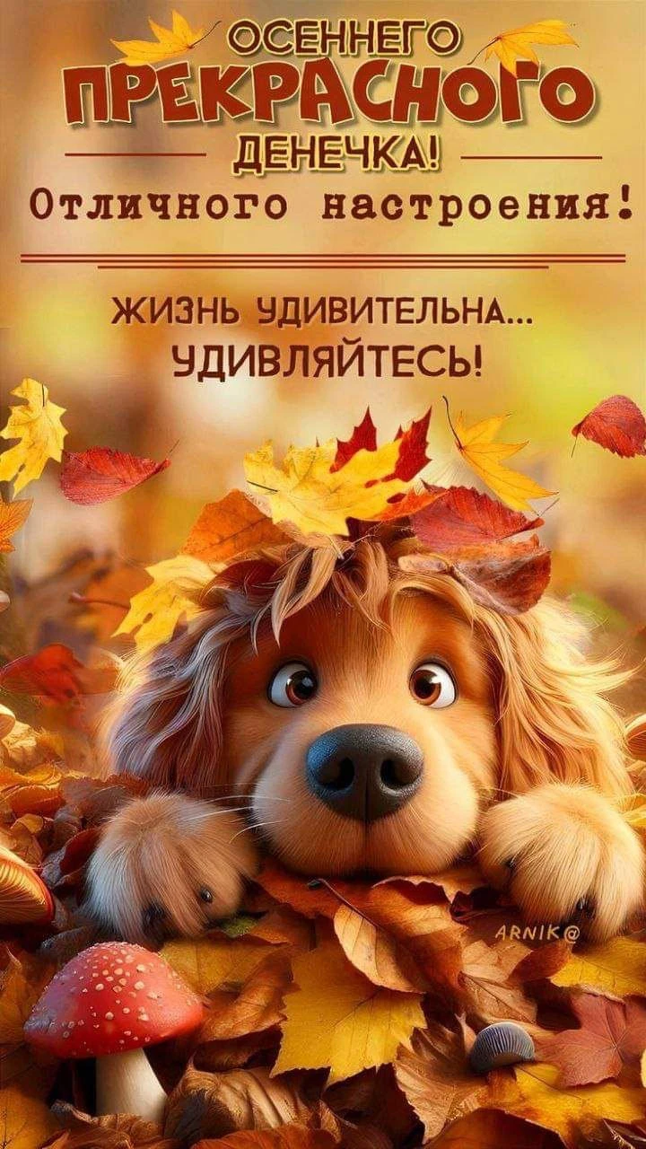 🥰 Оставляйте реакции, если понравилась открытка и делитесь с близкими ❤️
