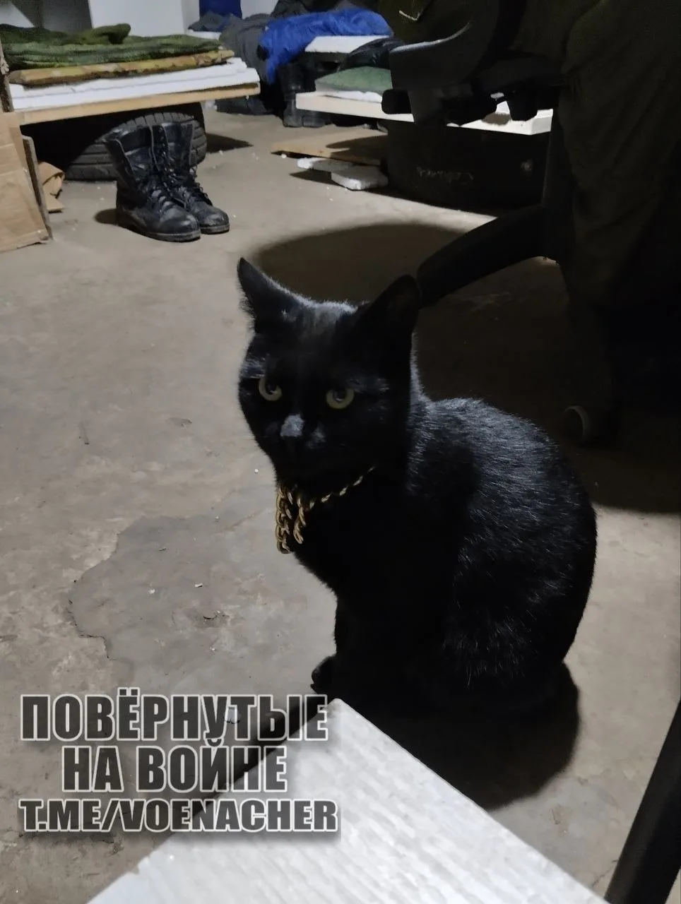 Доброе утро