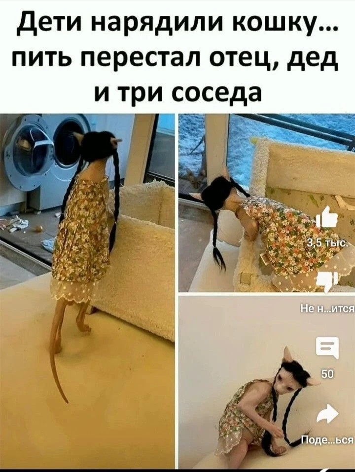 Немного веселья на ночь.