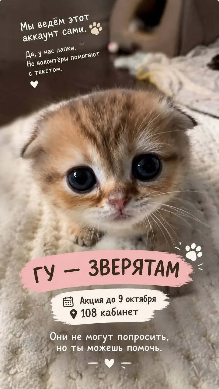 🐾 ГУ - ЗВЕРЯТАМ