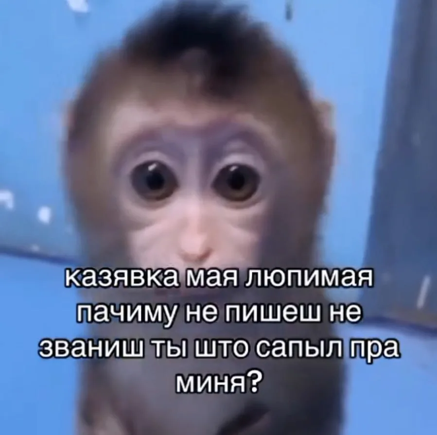 *отправляй своей бро, чтобы никогда не игнорила