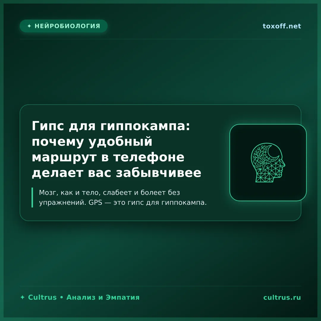 Гипс для гиппокампа: почему удобный маршрут делает вас забывчивее