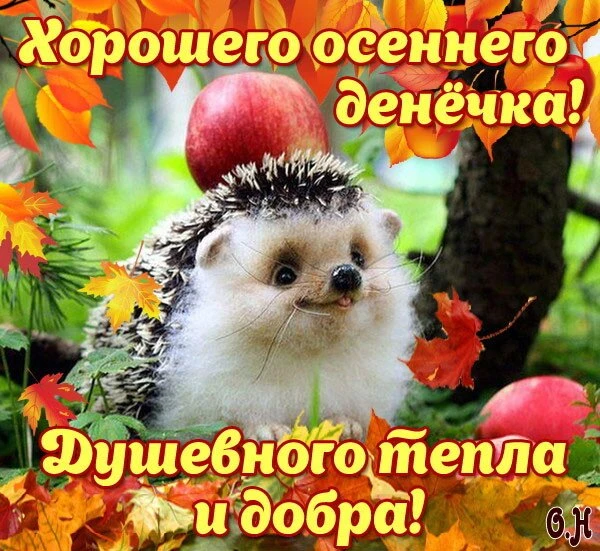 Доброго осеннего утречка. Здоровья и добра...