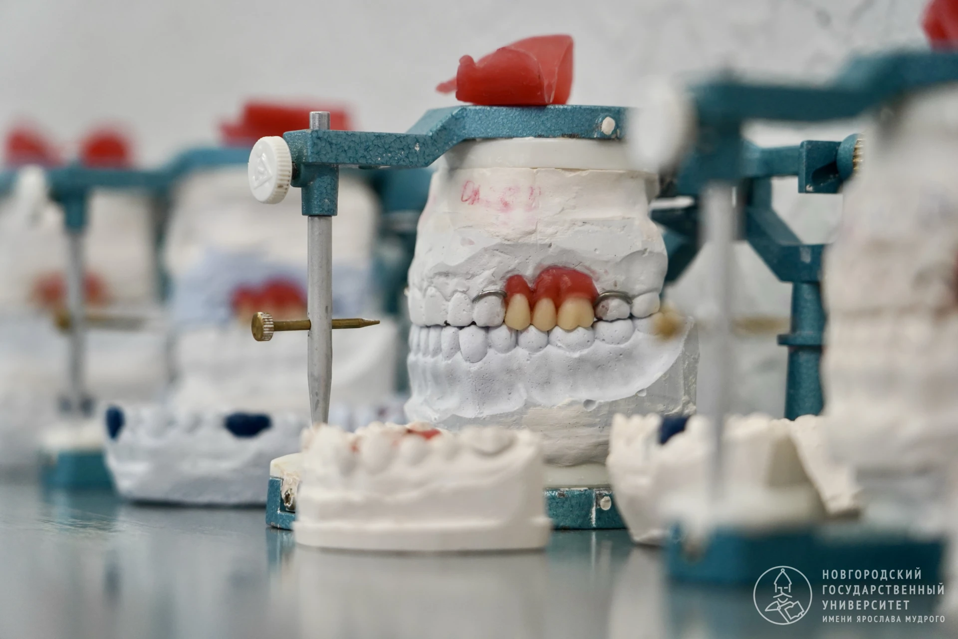🦷 Ты мне зубы не заговаривай