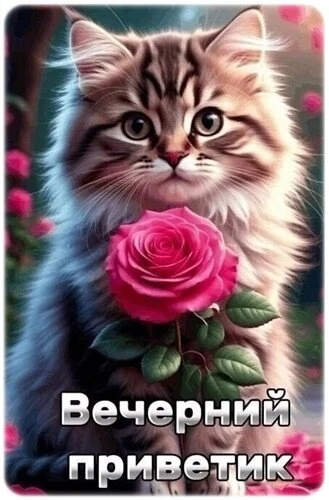 Оставьте реакцию — это как тёплый привет! 💖Поделитесь открыткой — подарите кусочек сча...