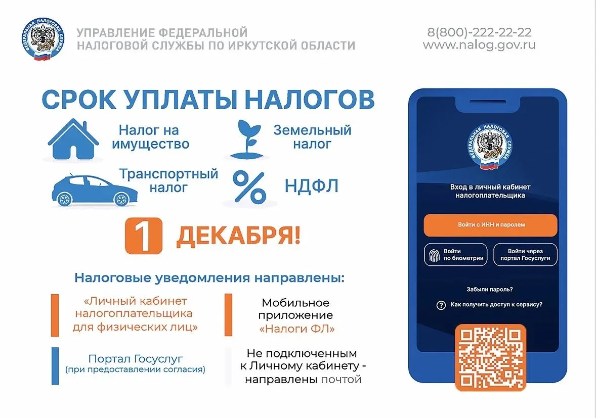 💰 Срок уплаты налогов — 1 декабря!