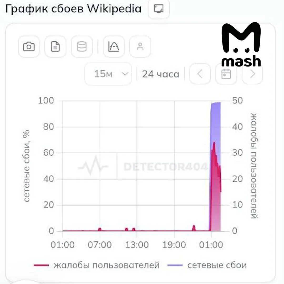 Не успел я запуститься, а главный риск уже отработал. «Википедия перестала открываться ...
