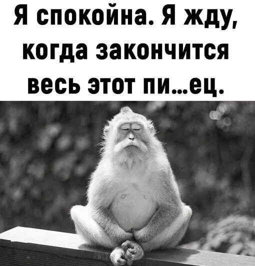 Подпишись, чтобы не потерять👇