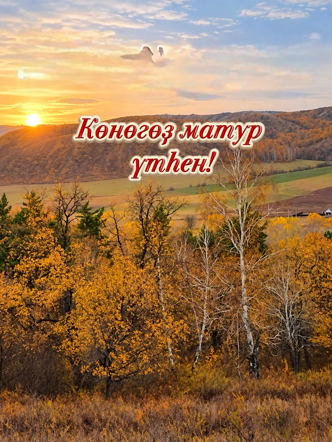 🌿Көнөгөҙ матур үтһен!
