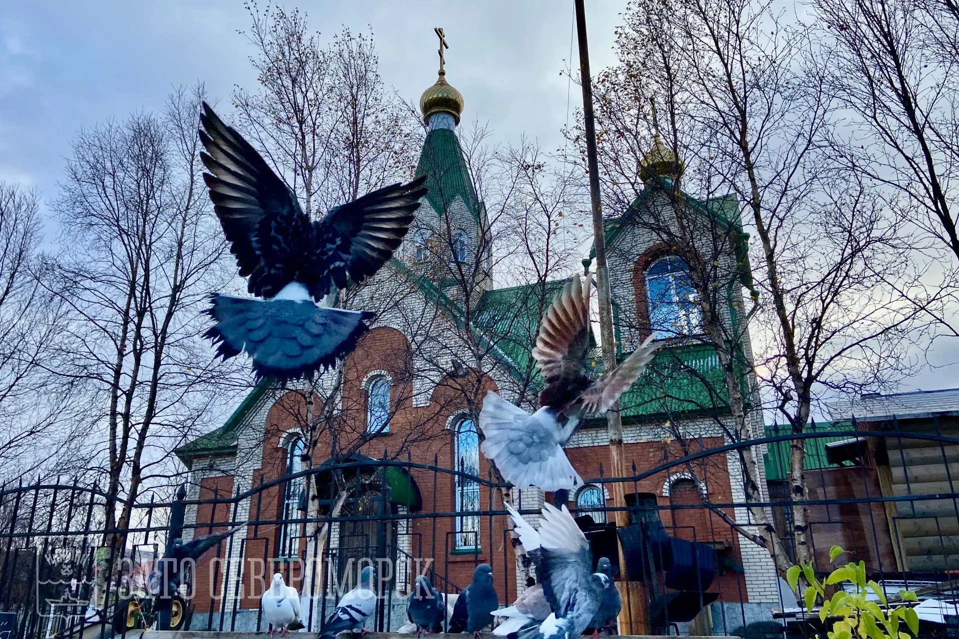 Доброго морозного утра!