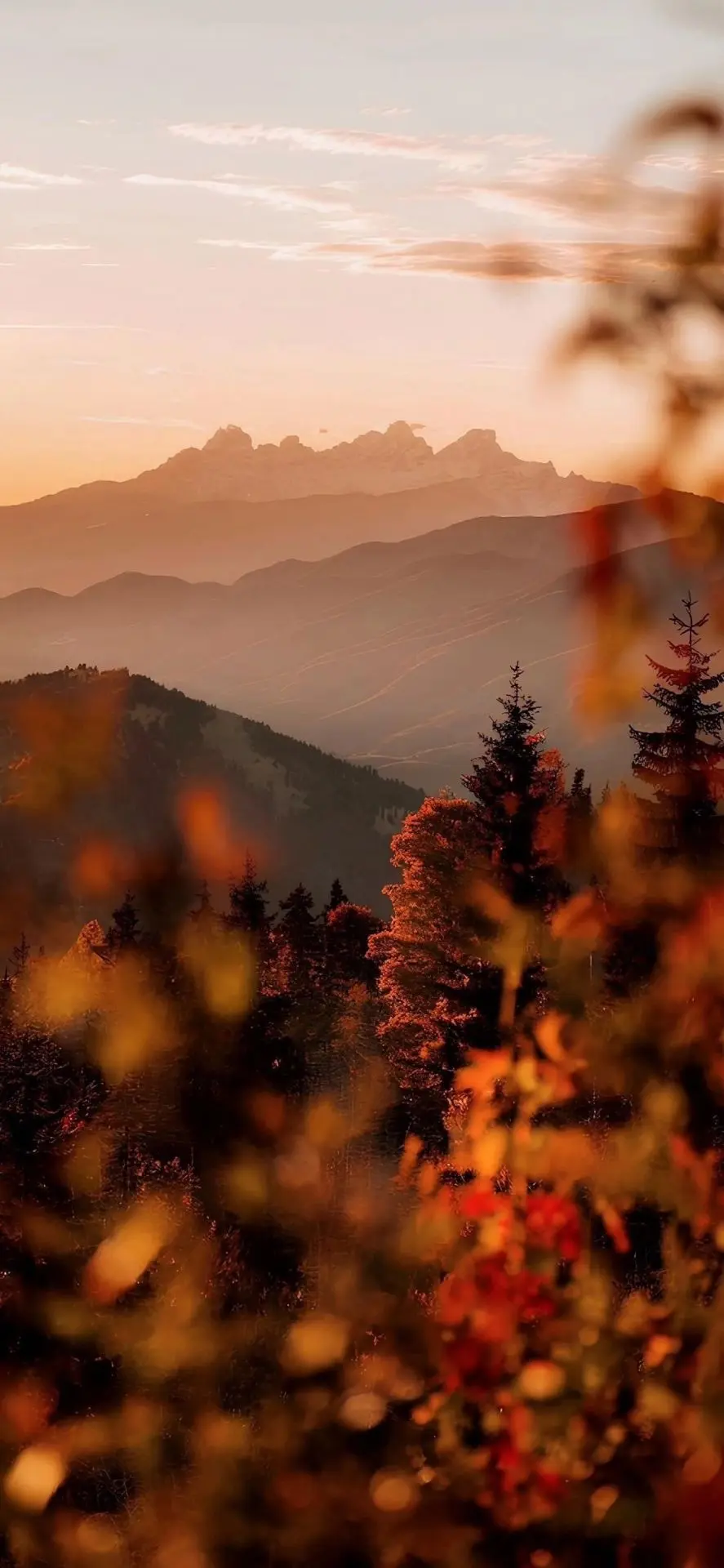 🍂 Осенняя эстетика для твоего экрана: тепло, уют и вдохновение! 🍁