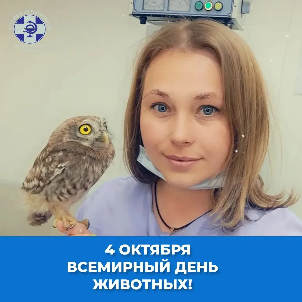 🐾 4 октября - Всемирный день животных!