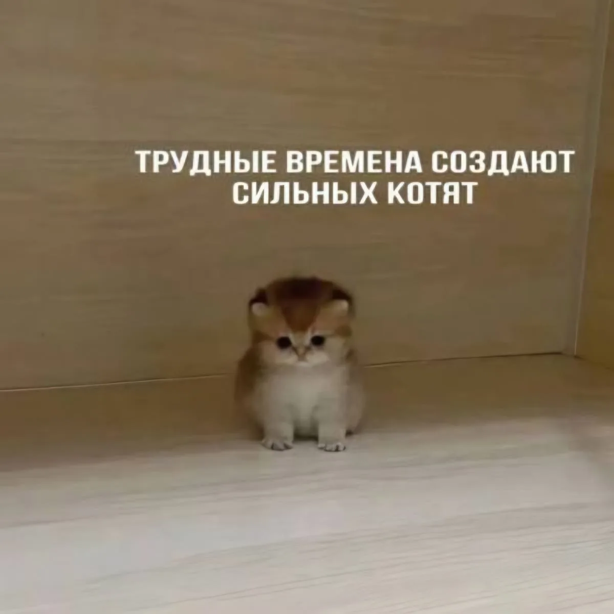 Доброе утро, Челябинск! ☀️