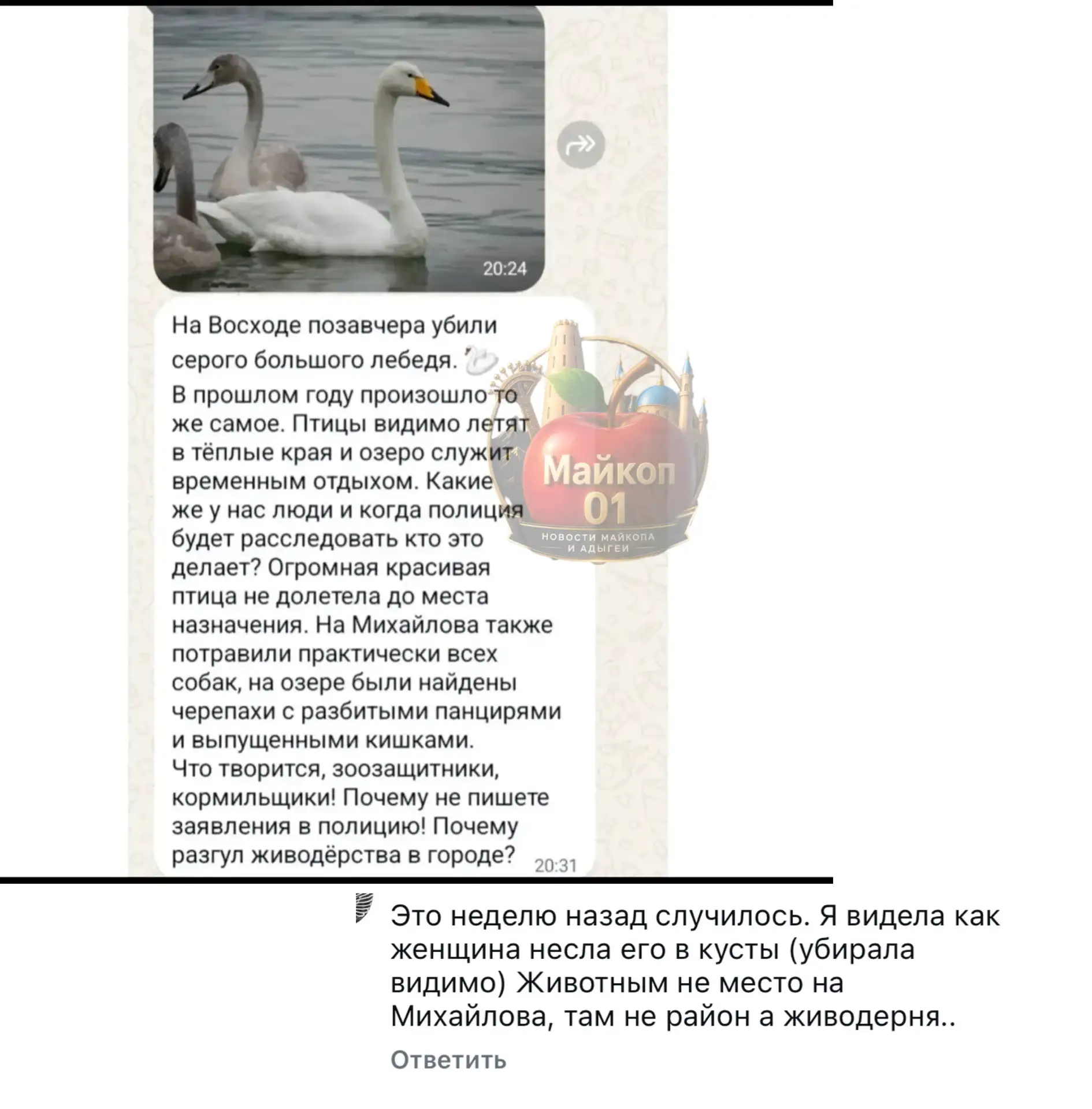 Подписаться ✅ - http://MAX.ru/maykop_01