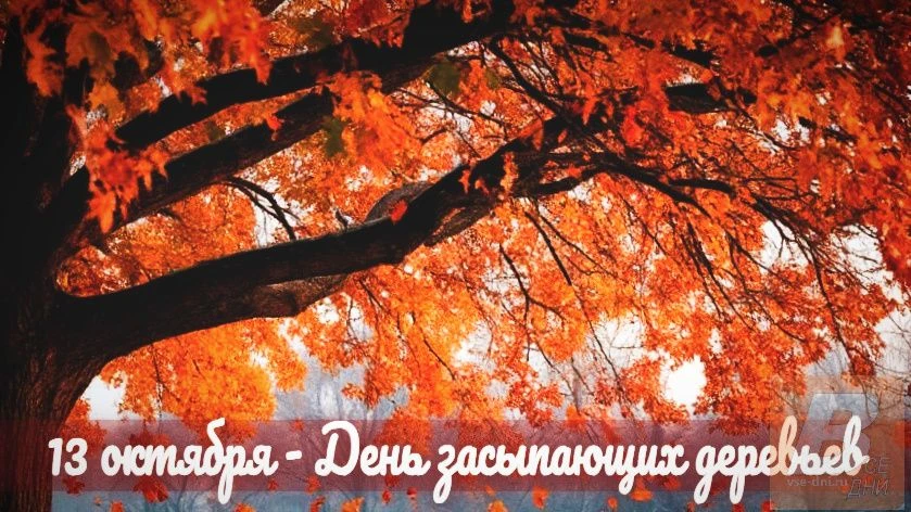 13 октября - День засыпающих деревьев.
