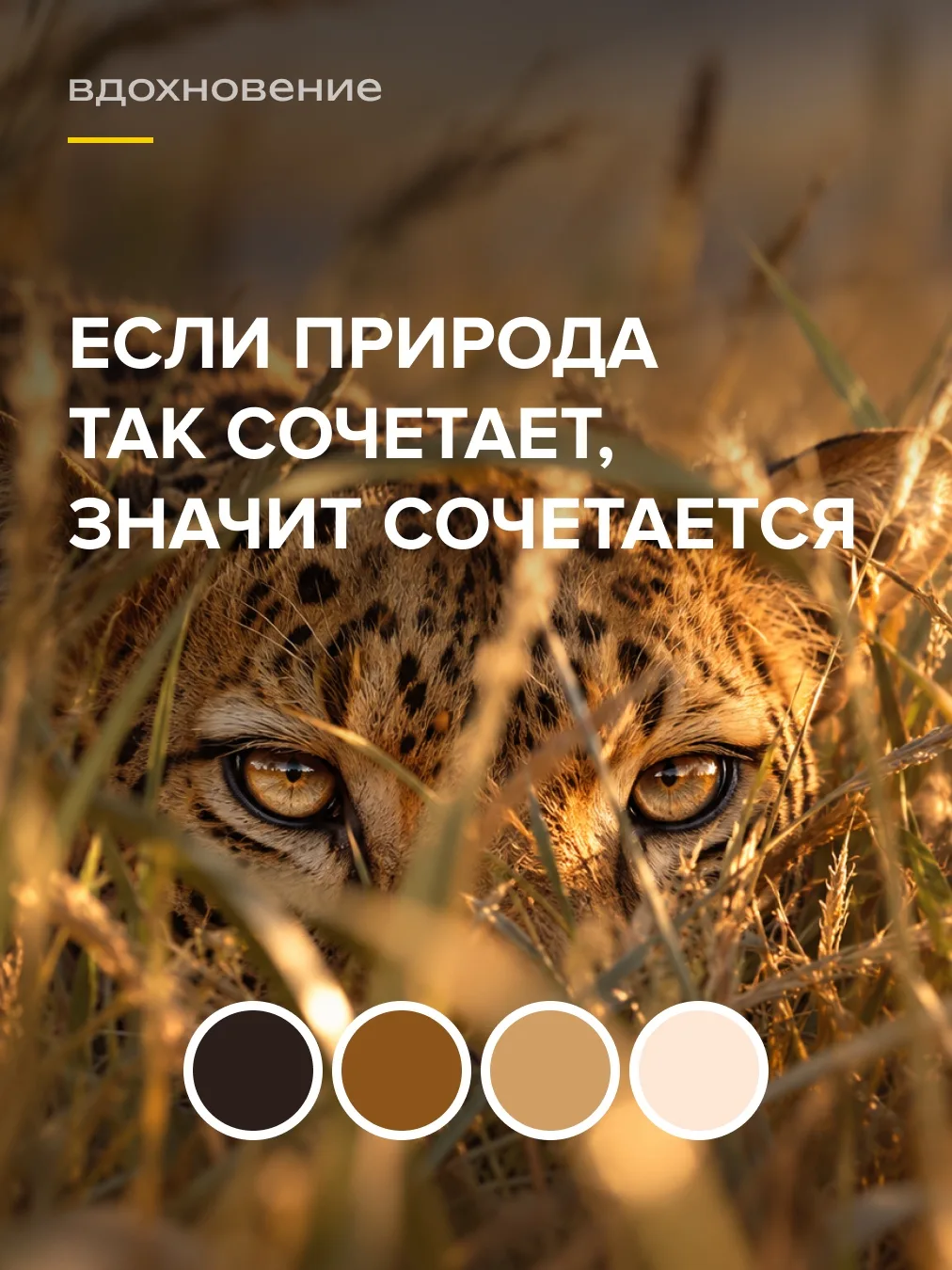 Природа всегда умела сочетать оттенки так, что ни один из них не выглядит лишним🎨