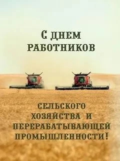 Дорогие земляки, уважаемые коллеги,