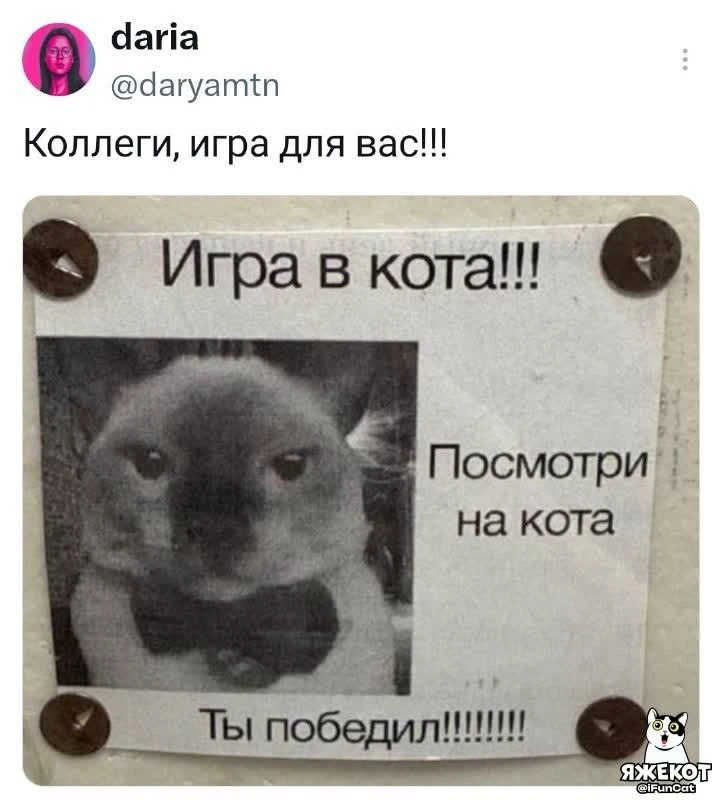 🐾 ЯЖЕКОТ
