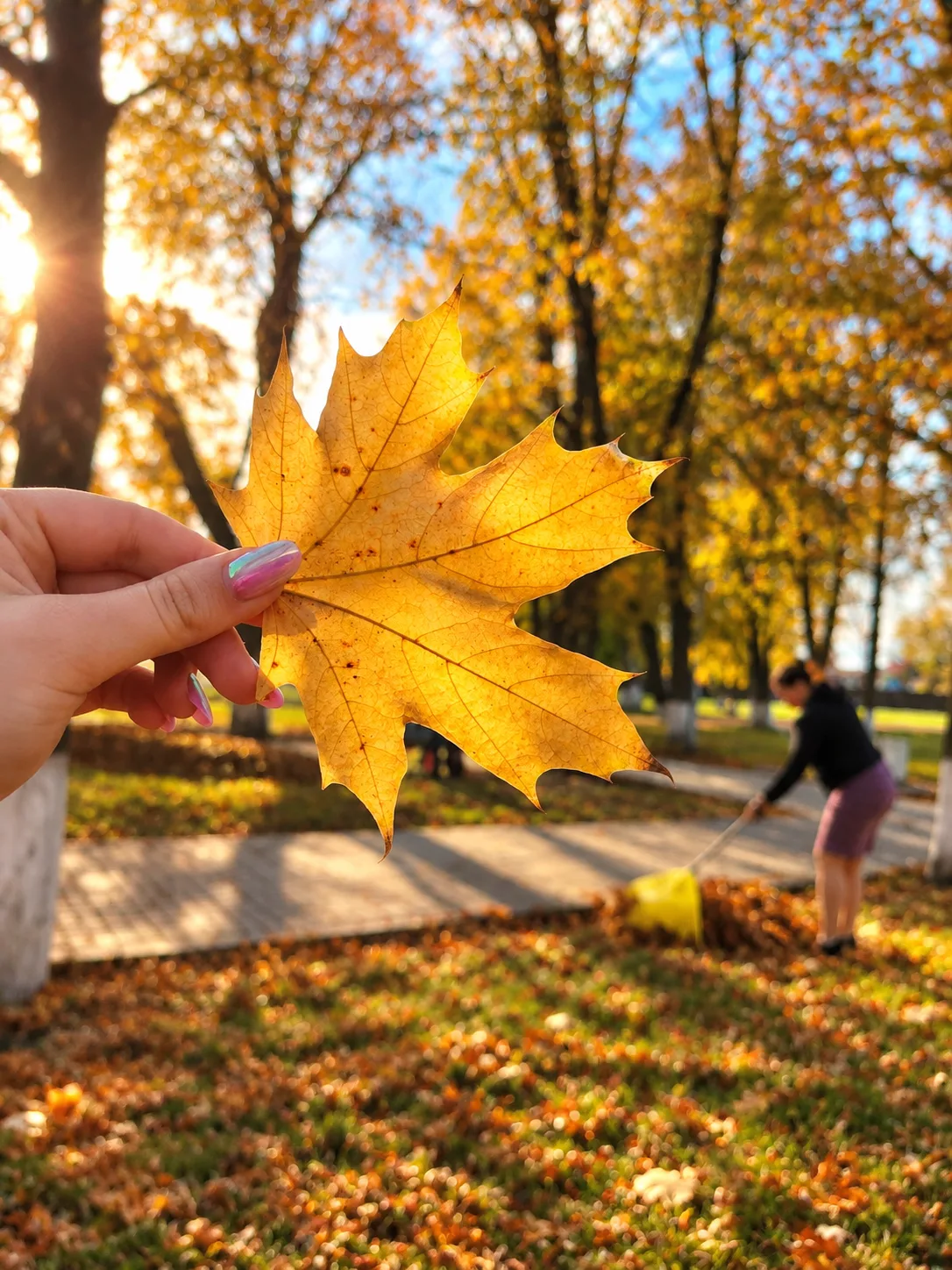 🍂 Заботимся о нашем парке! 🍂