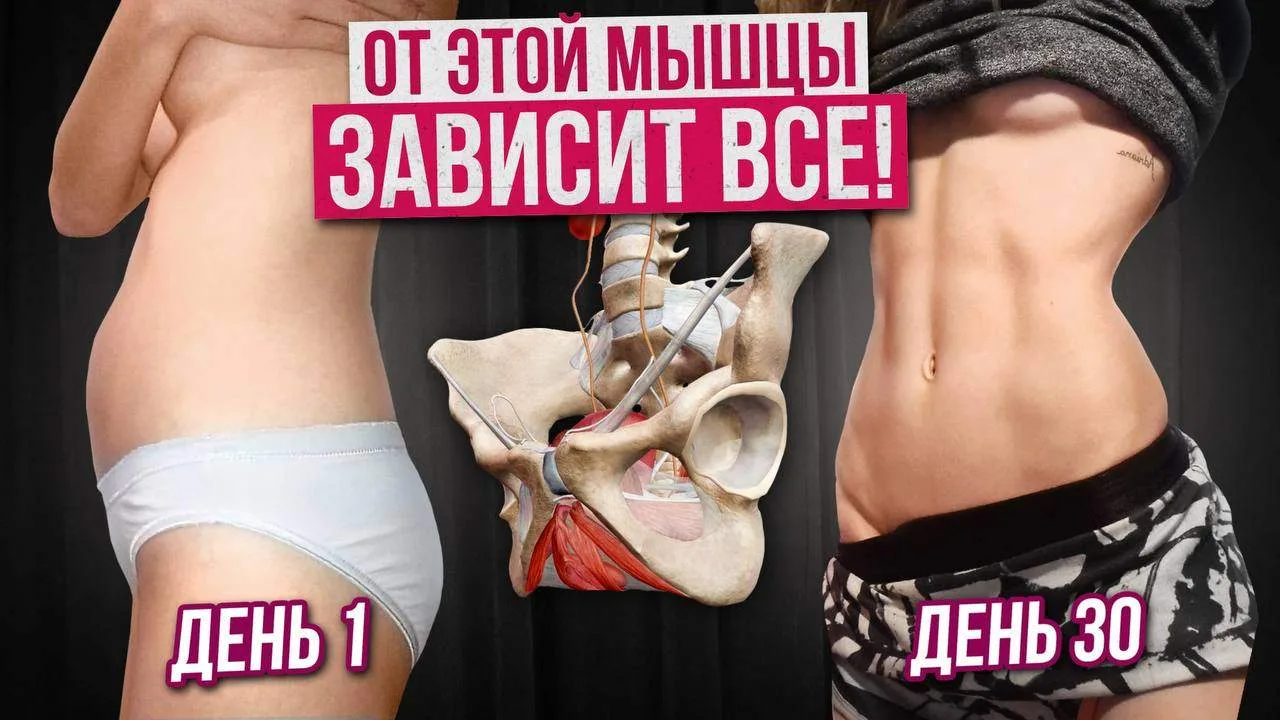 ОТ ЭТОЙ МЫШЦЫ ЗАВИСИТ ВСЁ!