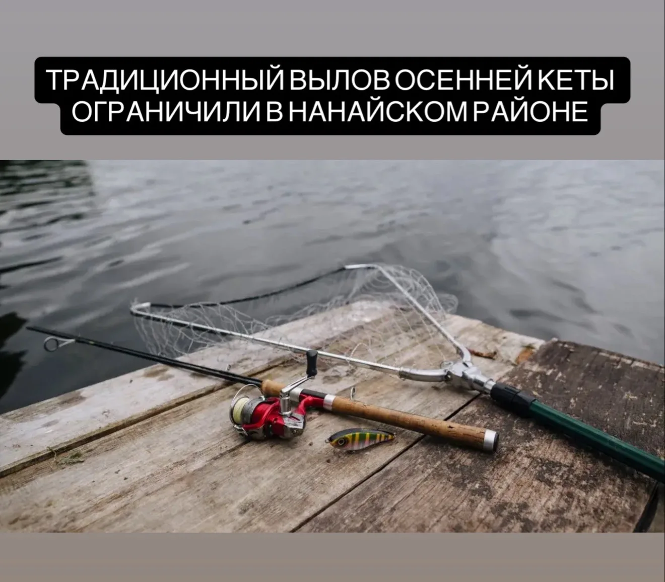 В Нанайском районе ввели ограничения на вылов осенней кеты
