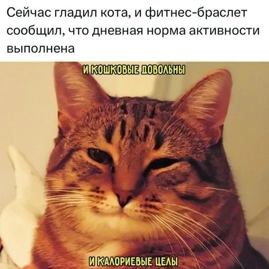 Берëм на заметку однозначно🐾😉#лайфхак #котикиИмы