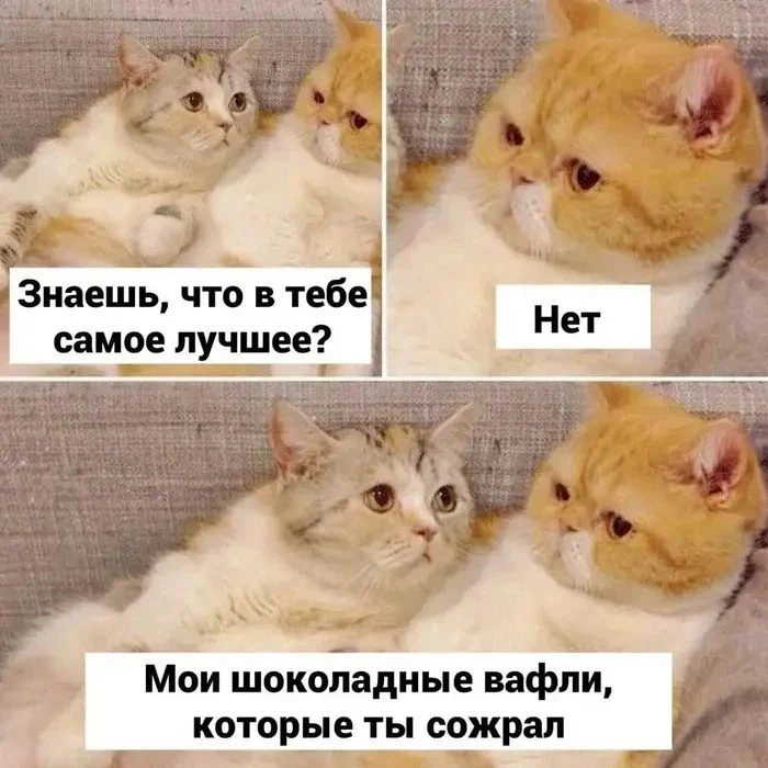 За Ежей в тумане    https://max.ru/public217562846