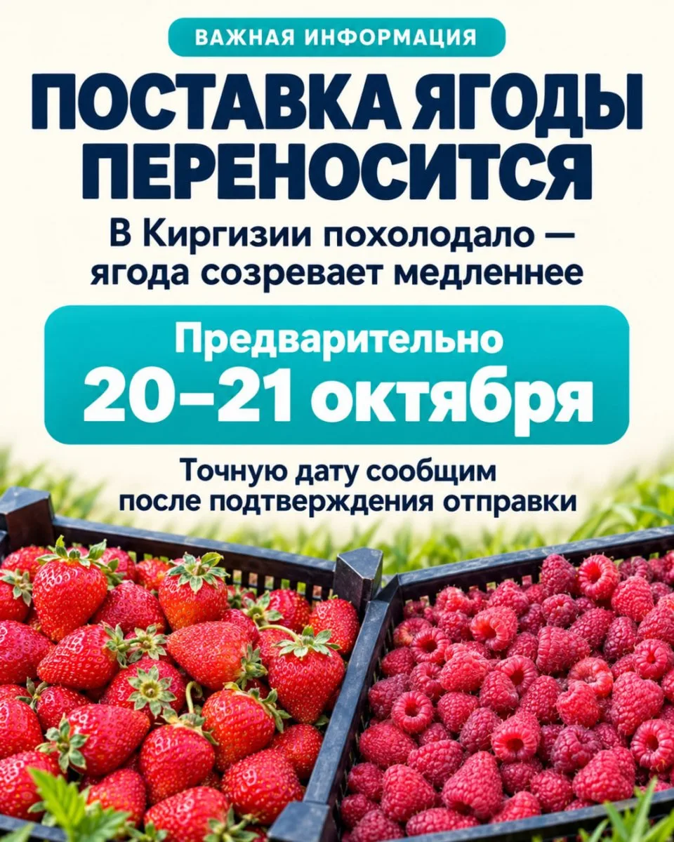 🍓 Важная информация: поставка ягоды переносится