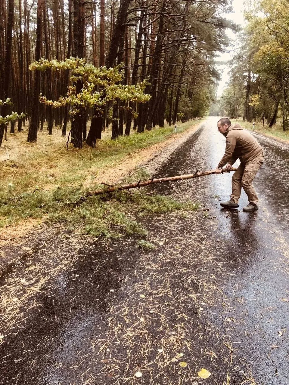 Косе не позавидуешь.