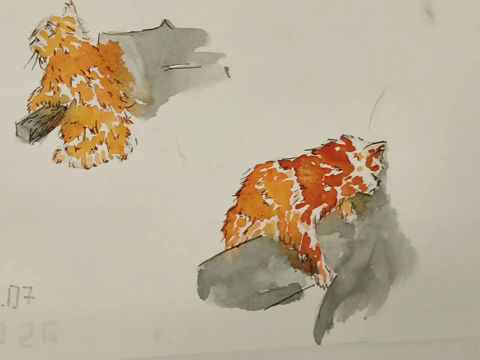 🌿 Красота природы глазами юных художников 🎨