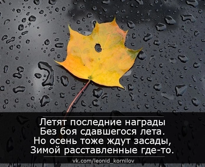 ОСЕННИЕ МЕДАЛИ