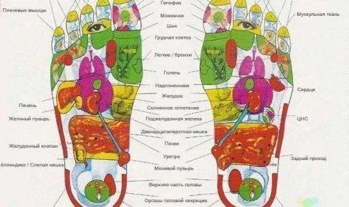 🌿Детокс пластырь для стоп –эффективный и простой способ очищения организма. Причиной п...