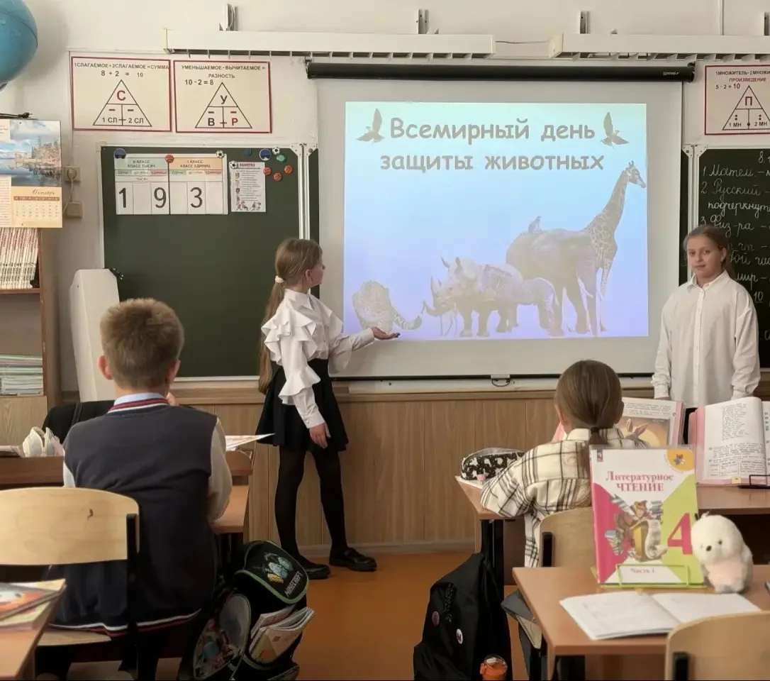 🐾 «Большая забота о братьях наших меньших!» 🐾