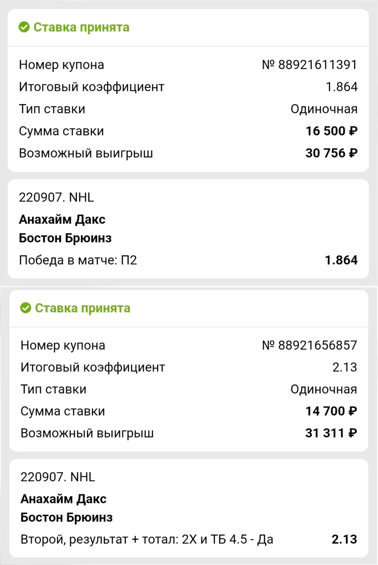 Хоккей 🏒