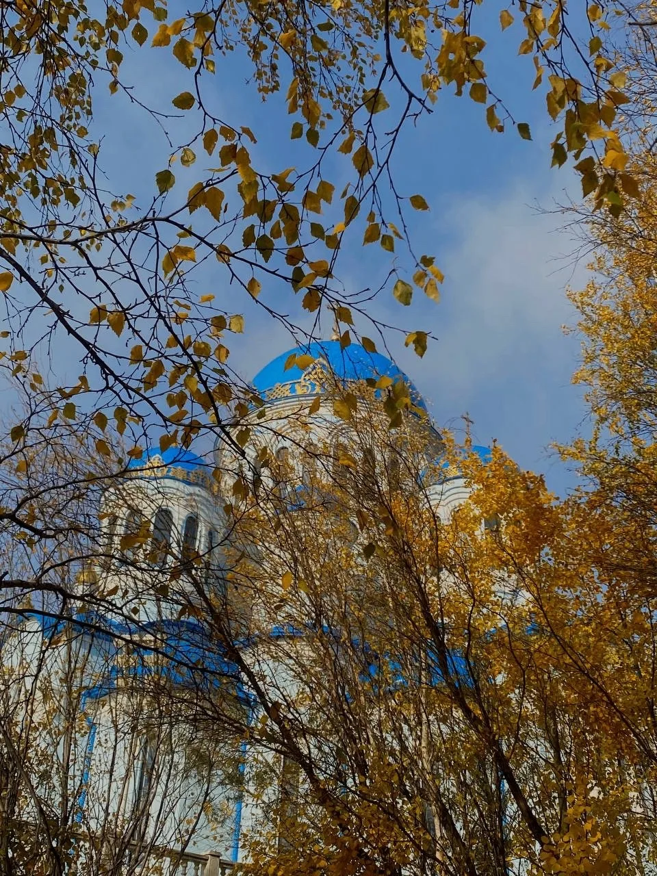 🌦☁⛅🌥 Днём в Сургуте +8°С. Ветер юго-западный 5 м/с.