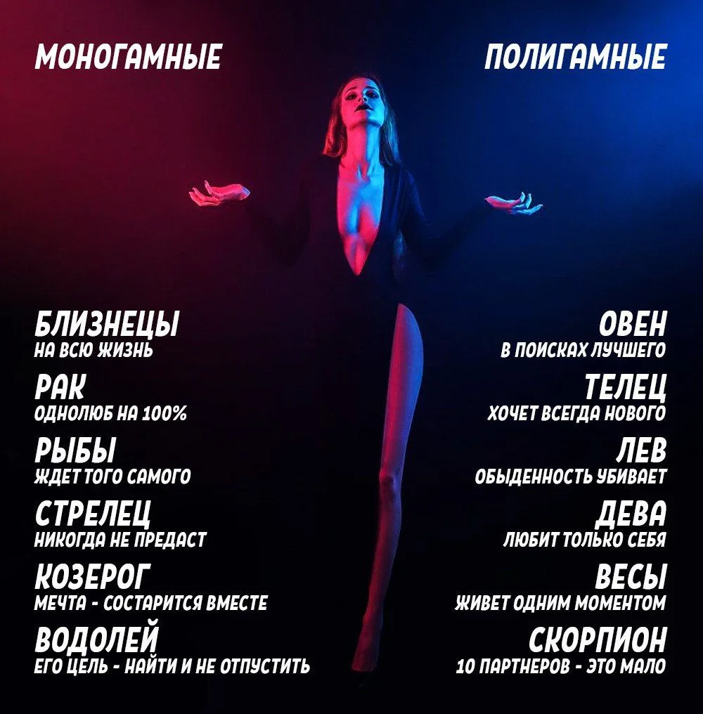 Моногамы/Полигамы