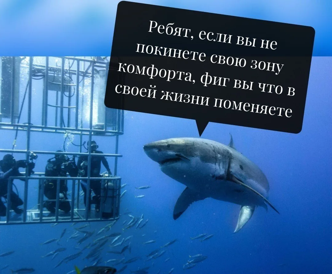 Рождённые 6, 15 24 числа