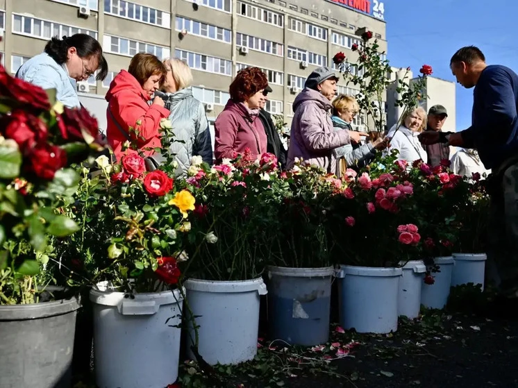 Осенняя ярмарка в Тамбове удивила размахом и щедростью