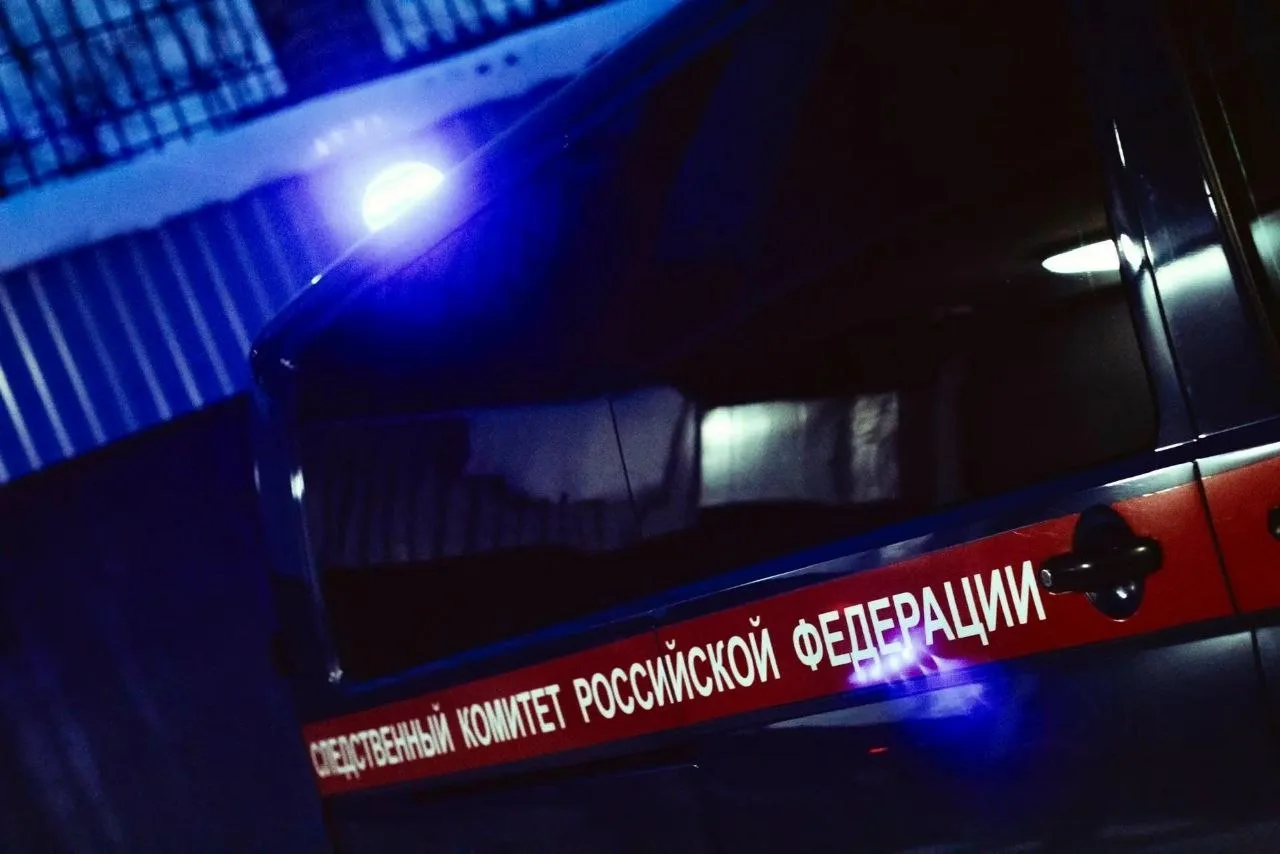 В Республике Марий Эл мужчине, обвиняемому в совершении преступления в отношении малоле...
