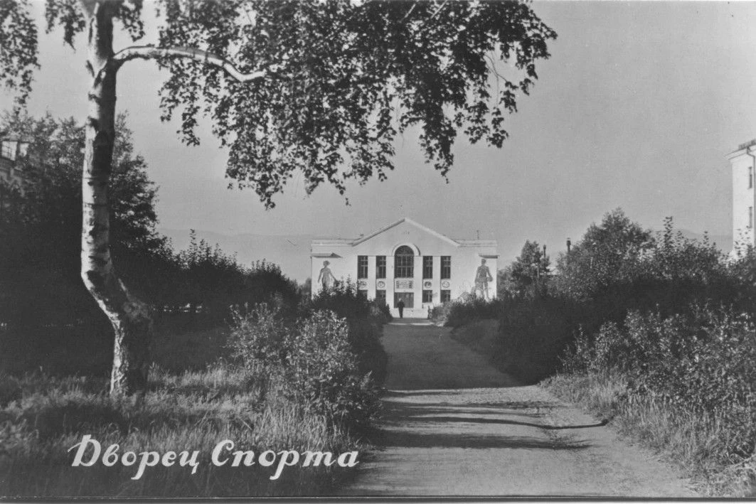 Вид с аллеи улицы Горького на Дворец спорта, известный ещё как Дом физкультурника (сейч...