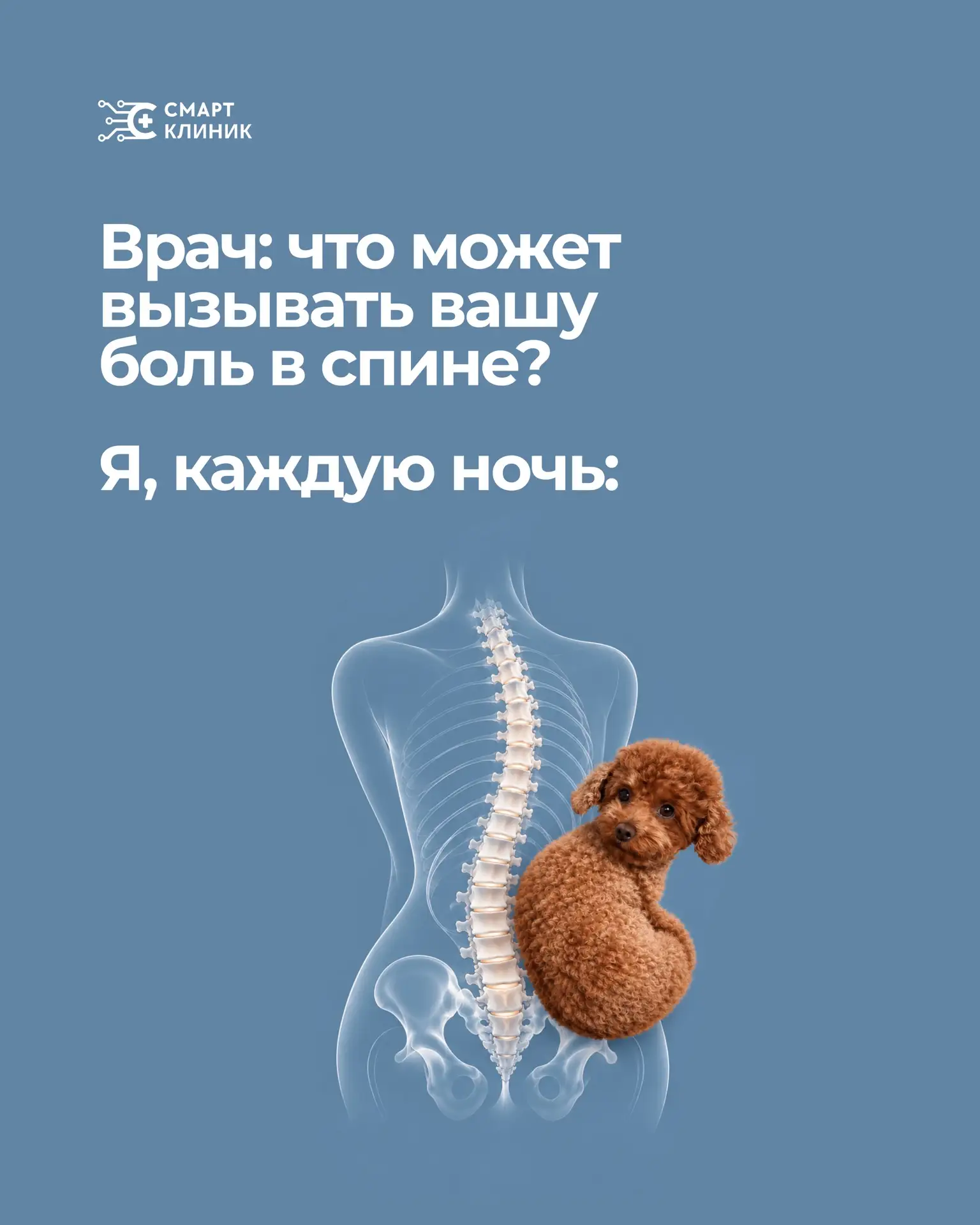 Собака заняла половину кровати?