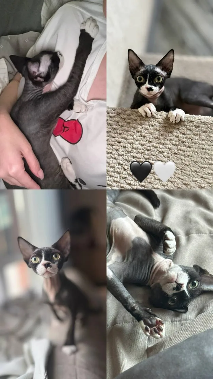 Тёмыч ♥️