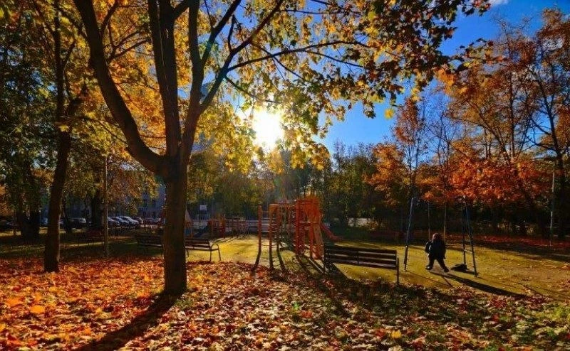 🌿 Осень во дворе в районе Хорошёвский