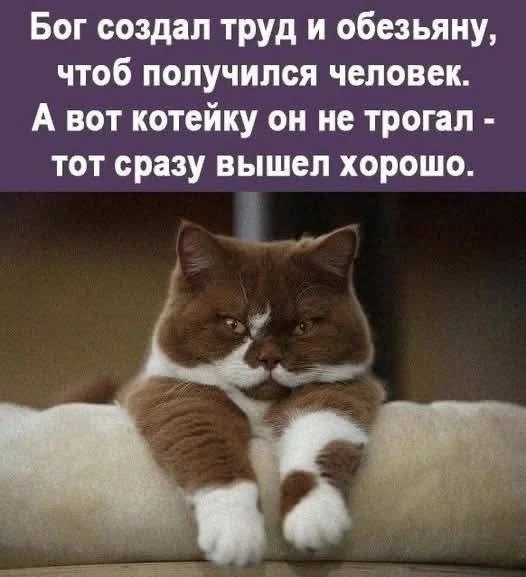 😃Картинки для настроения|👉 Подписаться