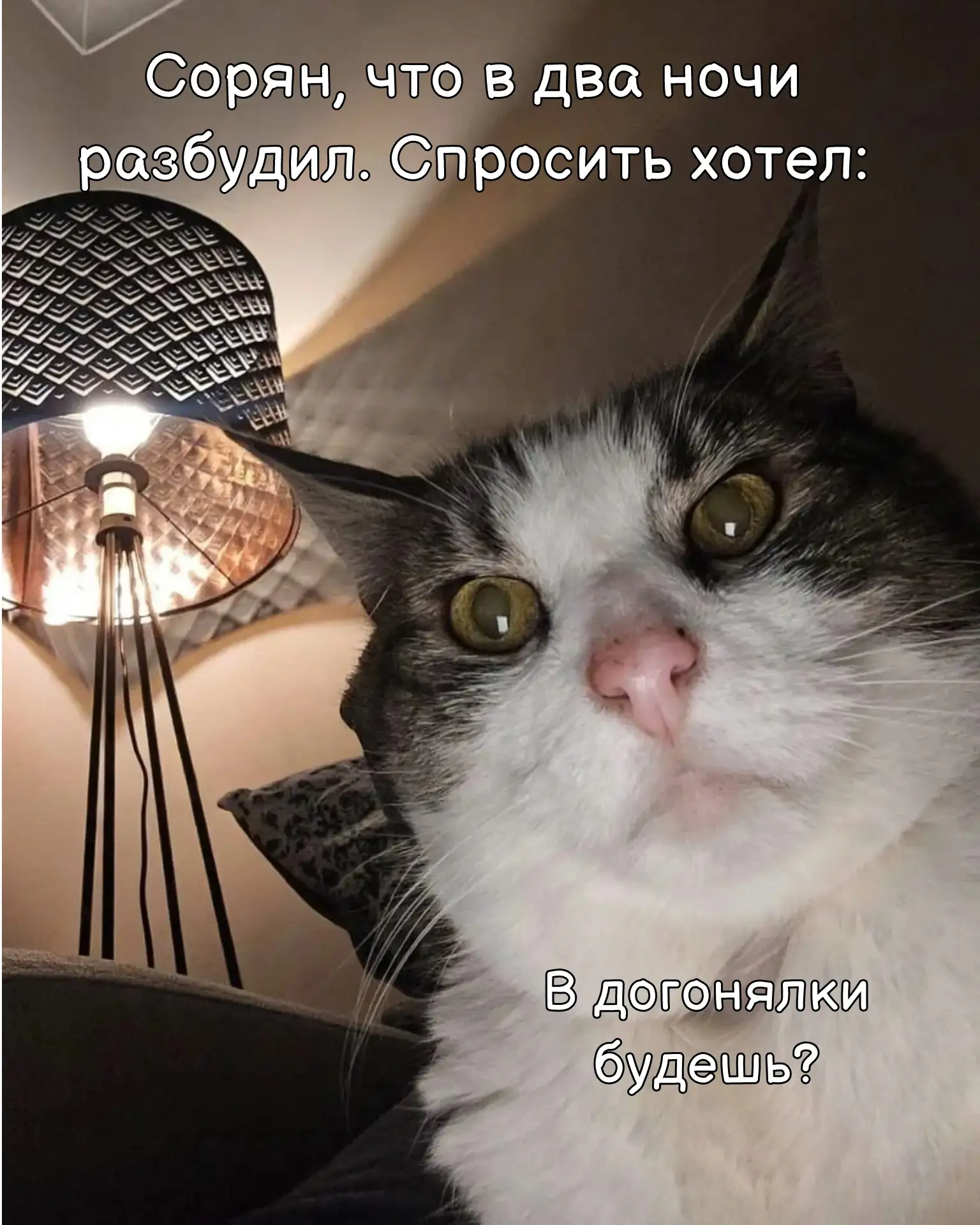 Все ещё не с нами? Подпишитесь!