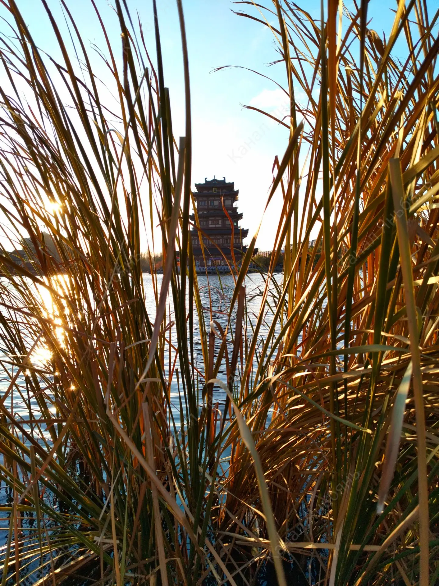 🍁Осенний парк Наньху в Дуньхуа
