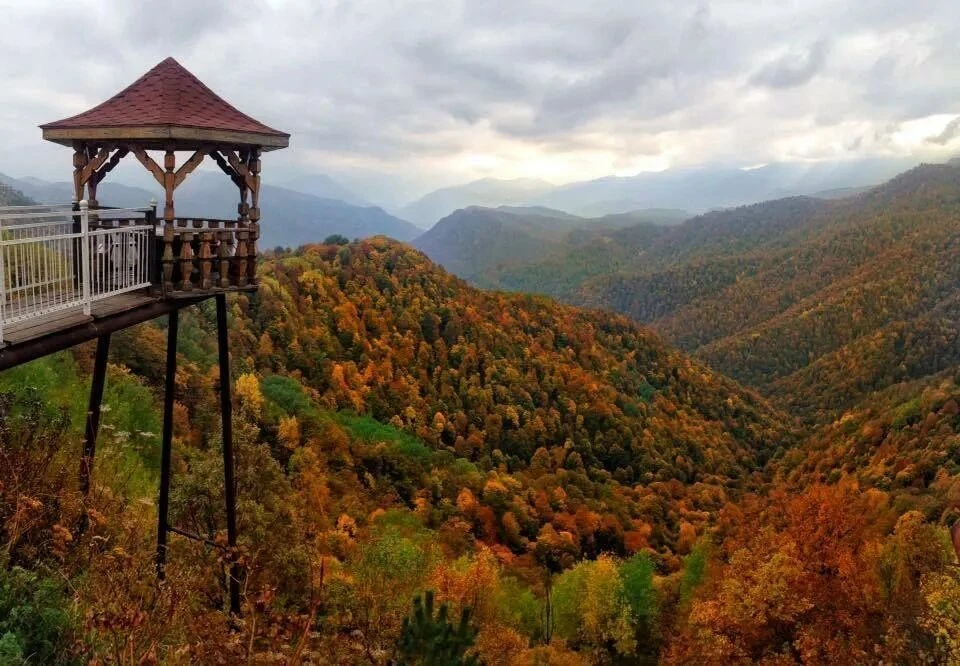 Доброй ночи Хаджох 🌖🌖🌖