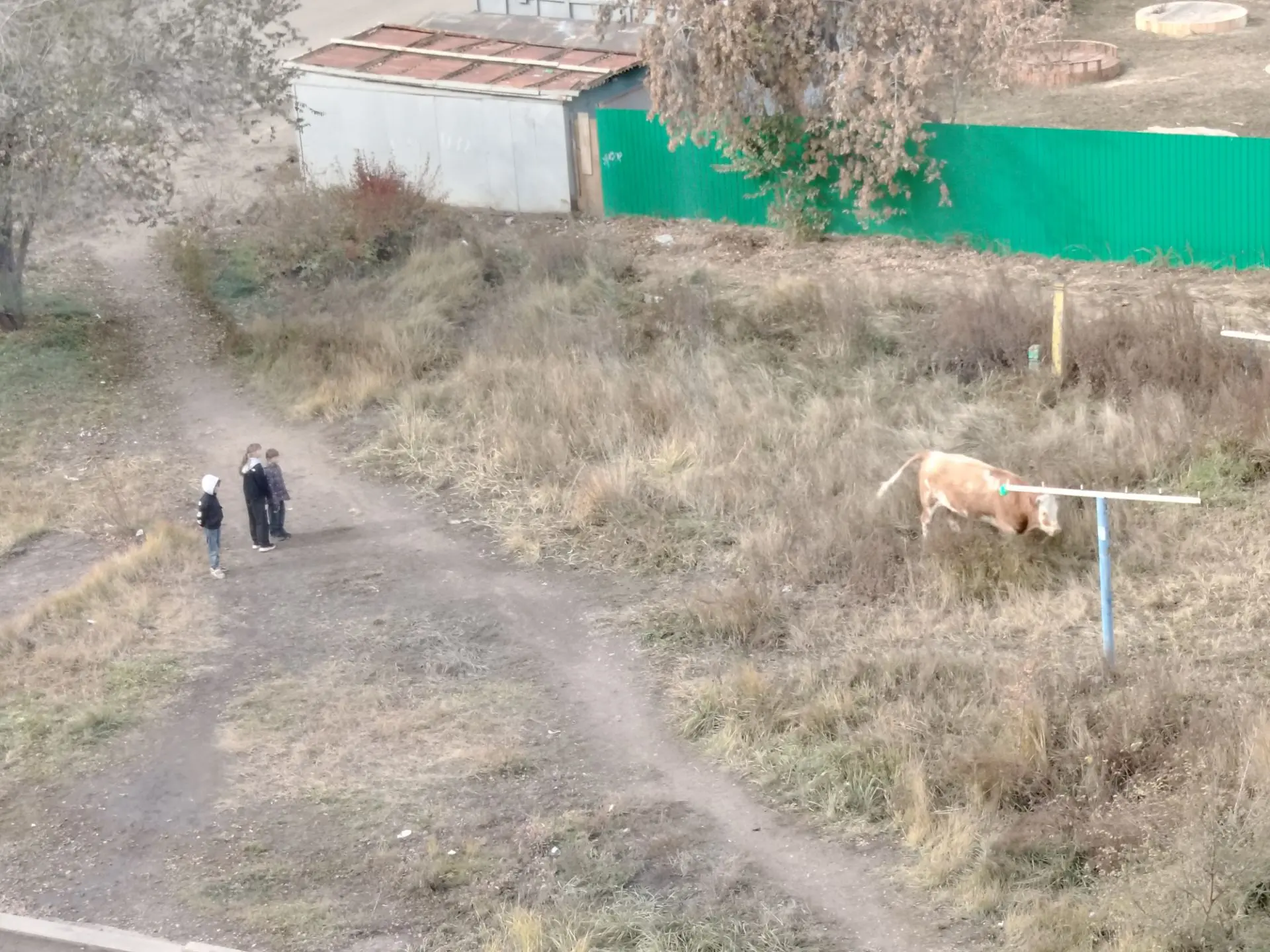 Живой уголок почти в центре Улан - Удэ