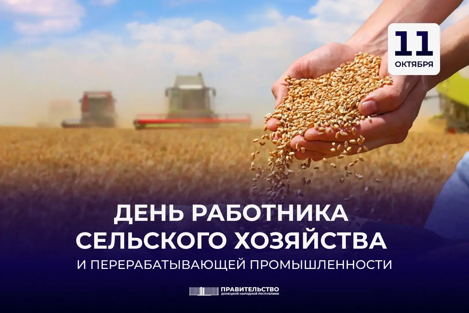 Бескрайние просторы Приазовских степей. Поля золотистых колосьев и спелых подсолнухов, ...