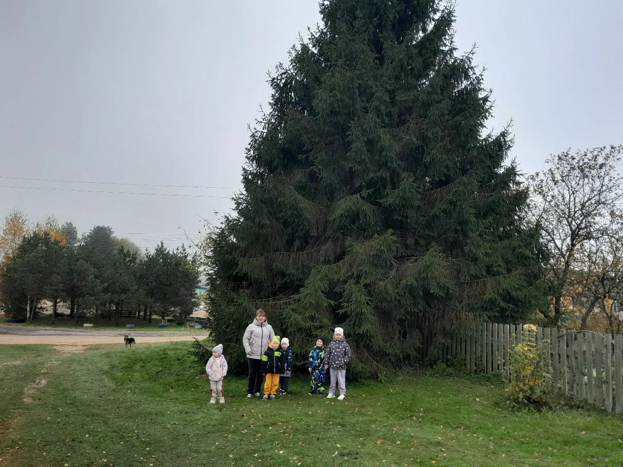 🍁Экскурсия «По осенним дорожкам моей малой Родины»🍁